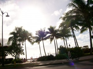 Waikiki Beach Hawaii