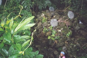 Hiking in Hawaii