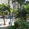 Scandia Towers Waikiki Scandia Towers Waikiki